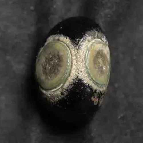 六眼天珠代表什么意义？