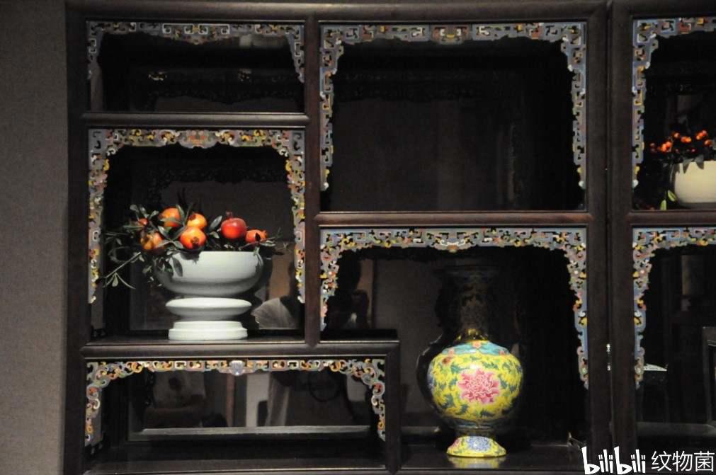 纹物菌科普之家居篇第七弹 万字纹回纹