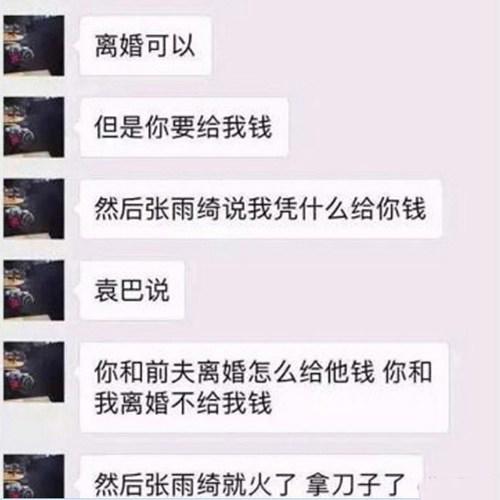 张雨绮有过几个丈夫