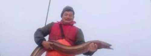 世界上最大的黄鳝