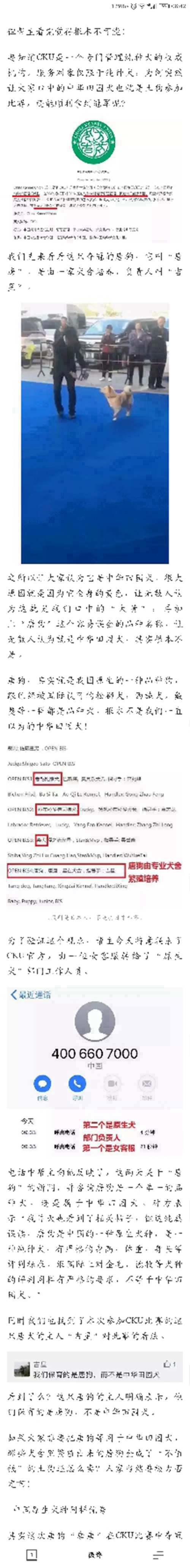 中国原生犬种之一唐犬被世界 纯种 犬协会接受