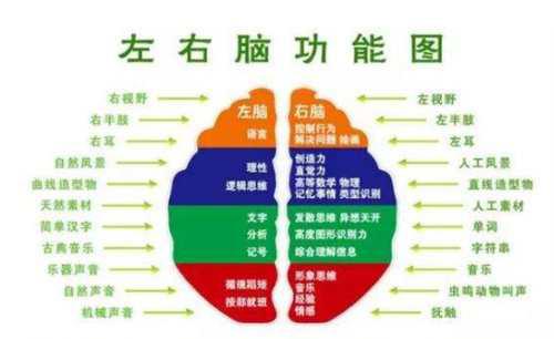 右脑记忆