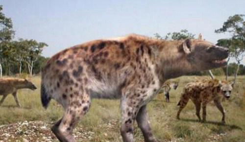 曾经世界上最大狗