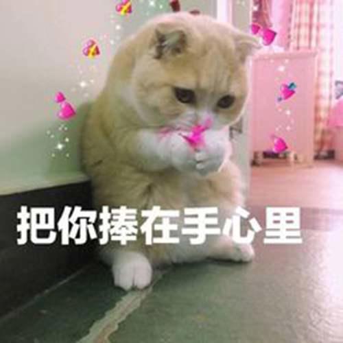 S1用滑板鞋上王者是笑话 现在LOL手游上线 所有人都被打脸