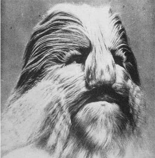 盘点世界十大变异人