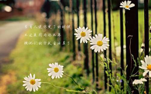 单身女性都是怎么解决性需求？ 女性如何解决自己的生理需求