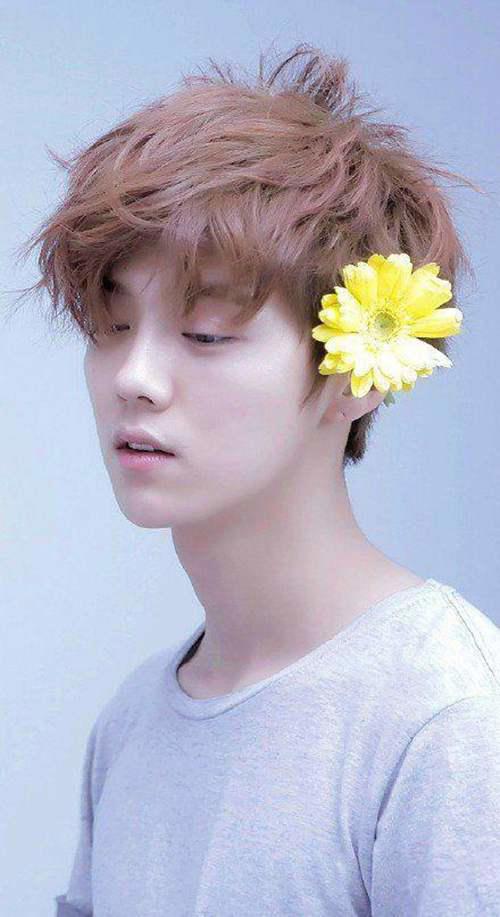 吴亦凡鹿晗这些男神的逆袭