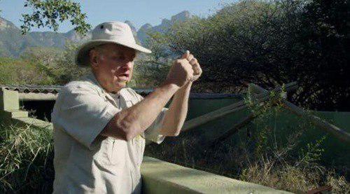 世界上最无所畏惧的动物