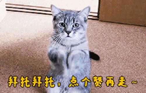 LOL Faker公认世界第一的4个英雄 瑞兹第2 第1名打服所有中单