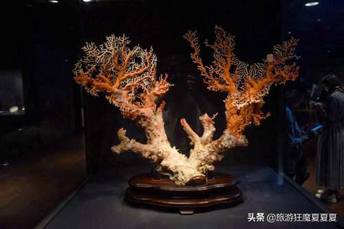 实拍台北故宫博物院，从故宫运来的珍宝都在这 台北故宫博物馆