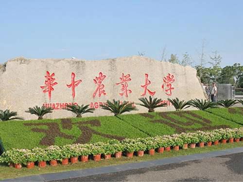 一张通知书上7所211大学 武汉七校联合办学20周年 受益学生众多