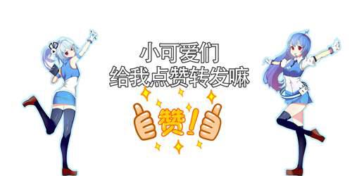 美媒评价中国歼11 只是落后战机的简单仿制 其实很不简单