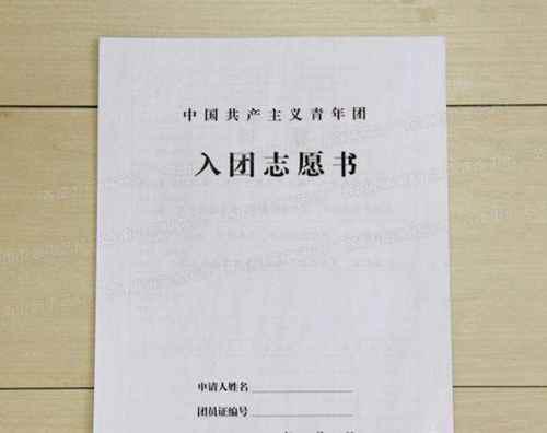 如何查询入团时间