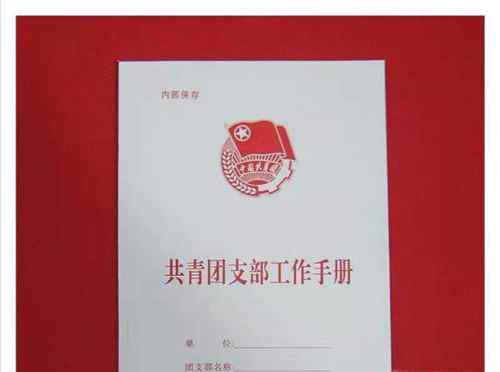 如何查询入团时间