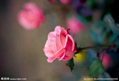 肛门外有个小肉疙瘩