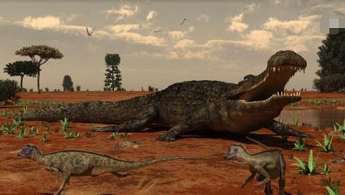 古代淡水帝王帝鳄