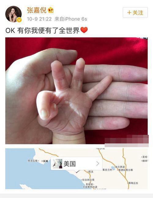 张嘉倪老公买超个人资料身份背景