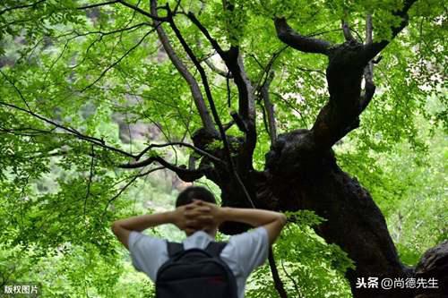 56个民族的风土人情和风俗习惯 少数民族的风俗有哪些