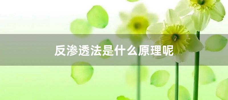 反渗透法是什么原理呢 (反渗透是什么原理)