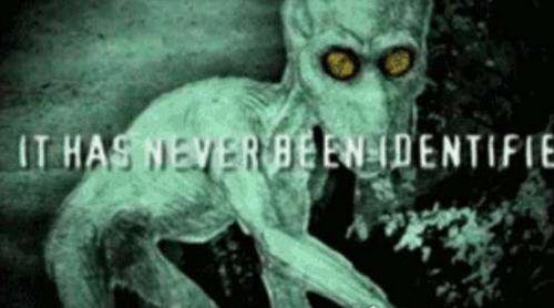 世界十大神秘生物大盘点