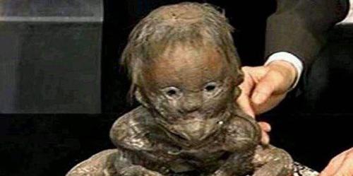 世界十大神秘生物大盘点