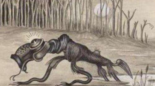 世界十大神秘生物大盘点