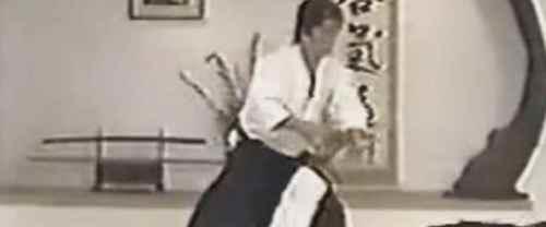 世界七大武术家