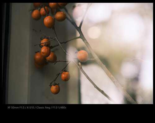 感受F1的速度 富士XF50mmF10实战体验 带视频