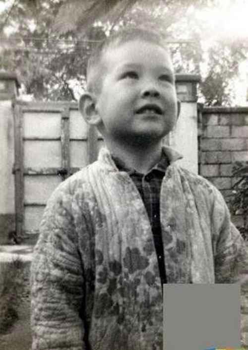 费翔是美国和中国混血父母照曝光