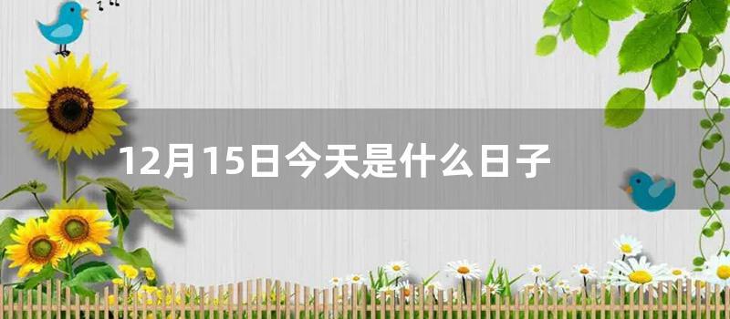 12月15日今天是什么日子 (一月15日到今天)