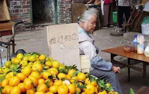 私家车摆摊攻略 附赠珍藏版 城市地摊财富秘籍