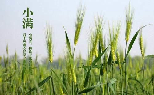 小满时节有哪些气候特点