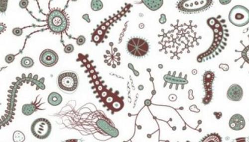 类艾滋病是什么疾病