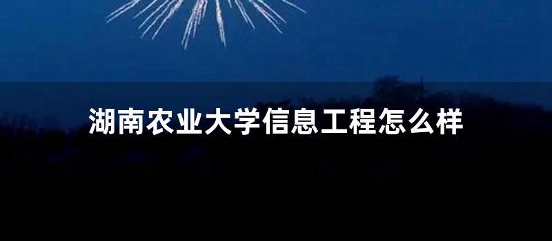 湖南农业大学信息工程怎么样 (湖南农业大学信息门户教务系统)