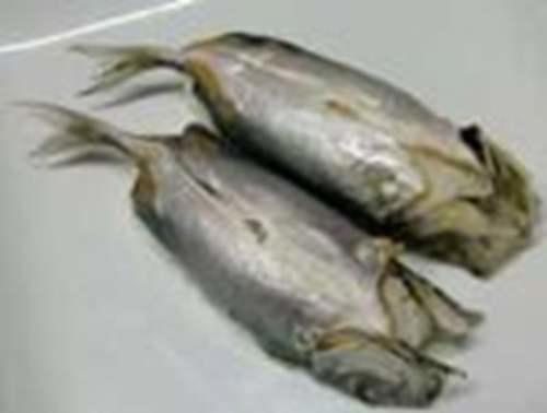 日本料理之竹荚鱼
