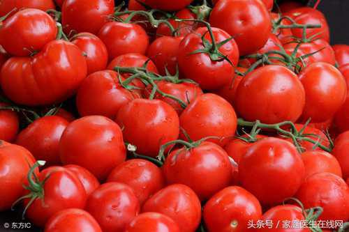 哪种食物维生素c含量最高