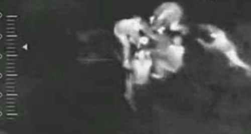 俄罗斯赤塔僵尸事件是生化人？