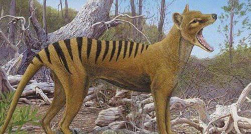 世界十大灭绝动物