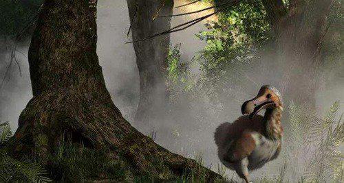 世界十大灭绝动物