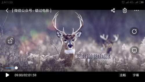 蛮荒故事 荒诞向的暗黑现实童话 直白的失控