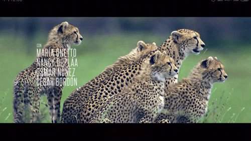 蛮荒故事 荒诞向的暗黑现实童话 直白的失控