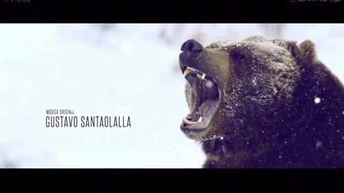 蛮荒故事 荒诞向的暗黑现实童话 直白的失控