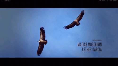 蛮荒故事 荒诞向的暗黑现实童话 直白的失控