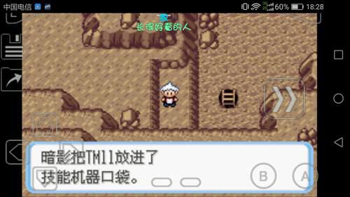 口袋妖怪蛇纹木通关过程03