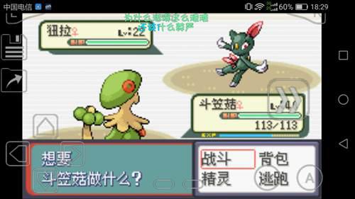 口袋妖怪蛇纹木通关过程03