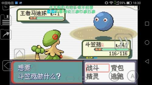 口袋妖怪蛇纹木通关过程03