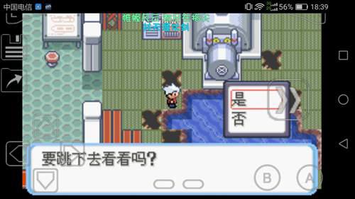 口袋妖怪蛇纹木通关过程03