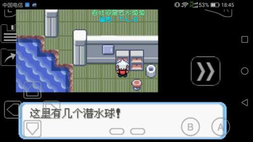 口袋妖怪蛇纹木通关过程03