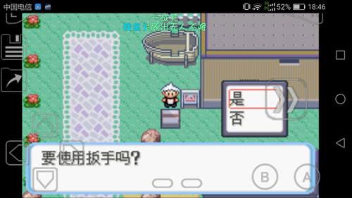 口袋妖怪蛇纹木通关过程03