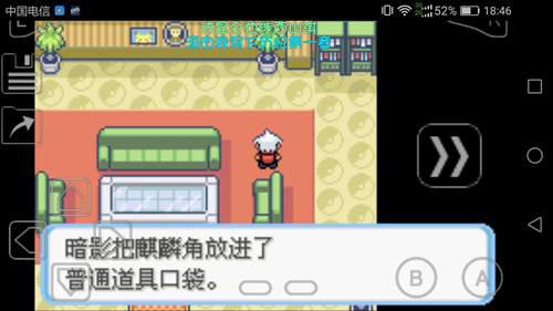 口袋妖怪蛇纹木通关过程03